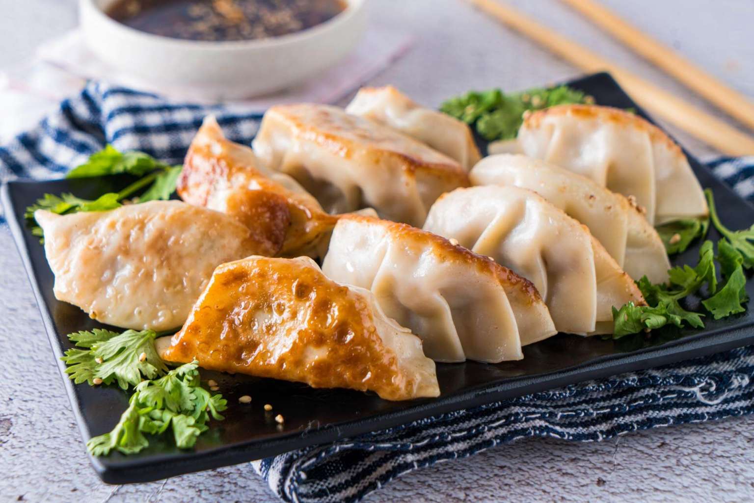 Pan fried Chicken Dumpling Oshi Sushis